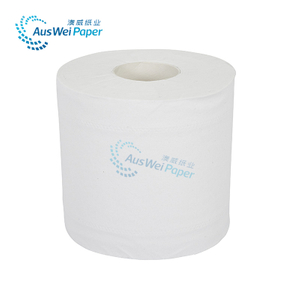 Recycle-toilet Paper Hand Towel Roll 2 Ply Double Line Embossing ZS90-02-10