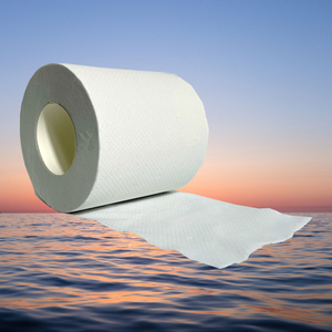 ISO Certificate Recycle120g Toilet Paper Roll 2 Ply Embossing Paper Roll Customized Hotels Paper Tissue